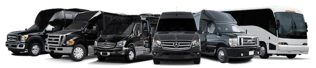 Luxury party buses, limousines, SUVs, and coaches available through the Play-It-Safe transportation network